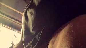 Arab teacher gets showered in penes by bad wolf28