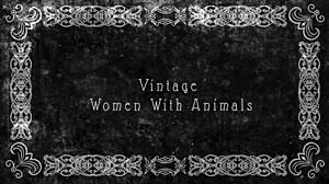 Dark lantern entertainment shares a vintage tale of beauty and the beast