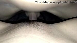 hey geek girl, loving doggy with those glasses on?