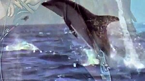 Dark lantern entertainment shares a vintage tale of beauty and the beast