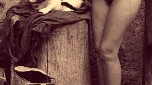 Dark Lantern Entertainment Comparte Cuento Vintage de Bella y Bestia