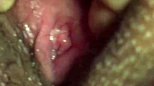 This mexican img 3568 mov file is quite interesting. 📁