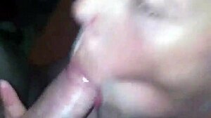 Amateurs sg and jg share a casual blowjob session.