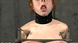 Sadomasochism stories with sucking cock and pussy fucking