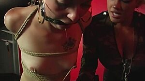 Newbie bondage slut kaera cruz gets dominated by maxine x in lingerie