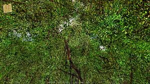 What A Harem Hotel Adventure!