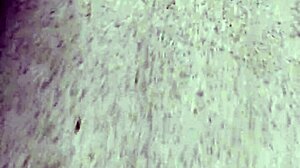 who is this mysterious colombian beauty?