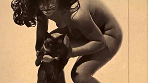 Dark lantern entertainment shares a vintage tale of beauty and the beast