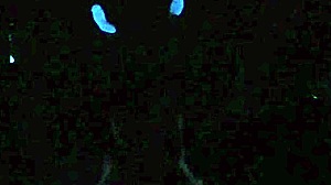 scarlett johnson under blacklight in sex pov scene