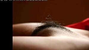 Close-Up Pussy Compilation