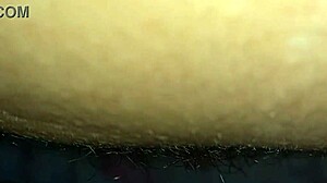 Big clit pulsing in hairy latina beaver teasing