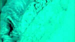 Dark Lantern Entertainment Presents Vintage Film The Dragonfly Freddie