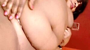 sundaydogood614 - update 243 - vid 20240614 122651 - jun 14 2024