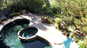 Cali Hayes Takes Daddy's Monster Cock