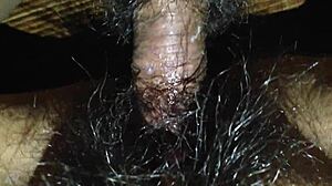 Quality Anal Sex With Lots Of Pussy