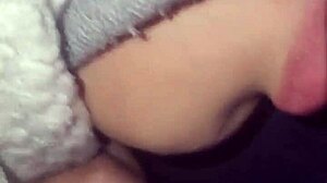 Latina amateur gives guebo blowjob until dry