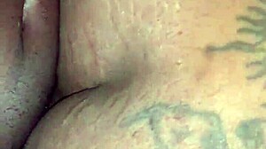 Have you seen this new tattooed ass video?