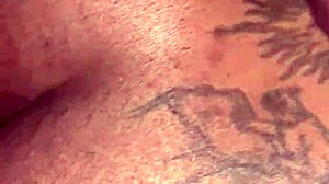 Have you seen this new tattooed ass video?