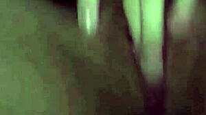 Virtual Novinha Show For Everyone