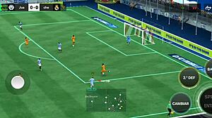 where does the shit go?