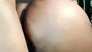 nigarchrist update petal jun 17 2025