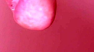 japanese blowjob uncensored 😋