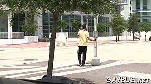 The wild homosexual sex led to free spunk from sloppy blowjob.