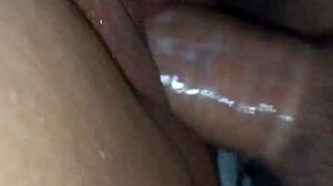 Brunette's wet pussy takes on a massive cock