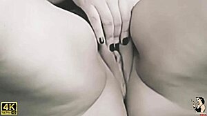 Lays Lopes trailer featuring famous singer's solo videos