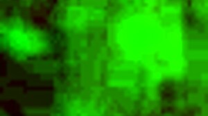 Ebony beauty performs wet striptease with clothes ripped