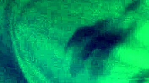 fingering stepsister pussy in parents bed