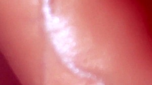 Intense Japanese Blowjob Close-Up Porn Story