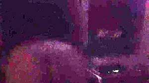 Jiji gold twerks 😍