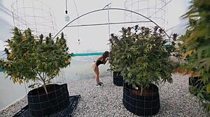 Sara blonde giving hot outdoor blowjob! 😘