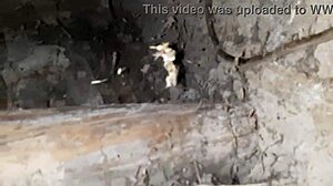 On our first day of dating i hotly fuck her mouth in an abandoned house - lesbian illusion girls