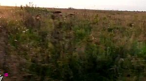 Horny Taxi Driver Fucks Blonde Babe Hard!