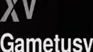 Intriguing fantasy cosplay porn in gametusy style.