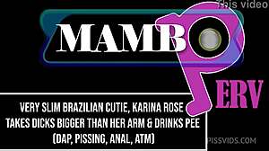 slim brazilian cutie karina rose takes huge cocks for anal assfucking in 4on1