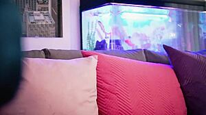 Blonde Colombia hisap batang langkah abang live di webcam