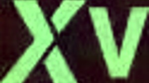 Chinese girlfriend riding friend