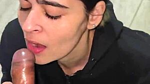 Lovely wife sucks sailor cock till cum drop.