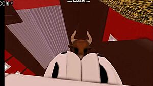 cow girl rides and gets fucked hard by bull in intense cowgirl position