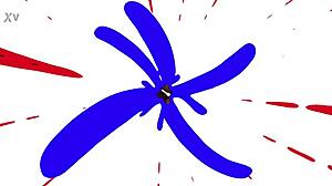 Do you want to watch Eliza Rae striptease as housewife? She teases in full movie with ripped clothes.