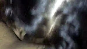 Nerd gives intense cheating blowjob.