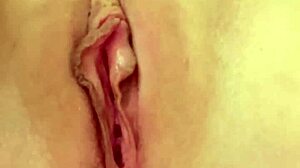 I Found My Step Sis Is An Escort In Florida!