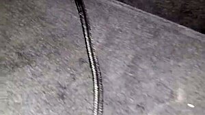 She loves sucking this black cock sloppy