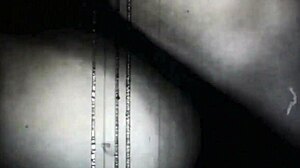 vintage erotic lesbian illustration