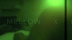 Bachelor's party fuck with the husband-to-be, passionate amateurs moaning in asian cowgirl