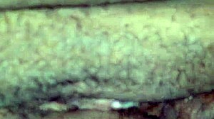 She loves sucking this black cock sloppy