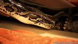 Bollywood wife strips teasingly, ripping clothes for erotic undressing show! 😘